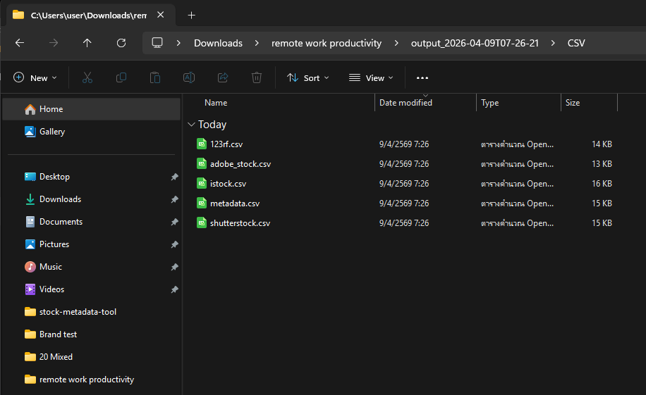 CSV folder showing 5 CSV files for different stock platforms