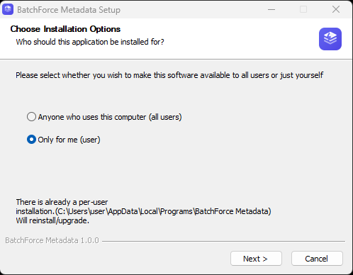 NSIS installer asking who can use the app